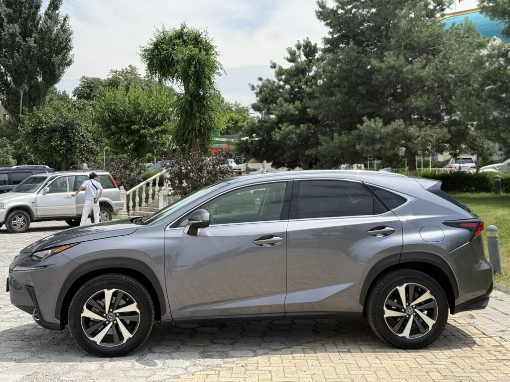 Lexus NX: 2019 г., 2 л, Автомат, Бензин, Кроссовер: фото 4