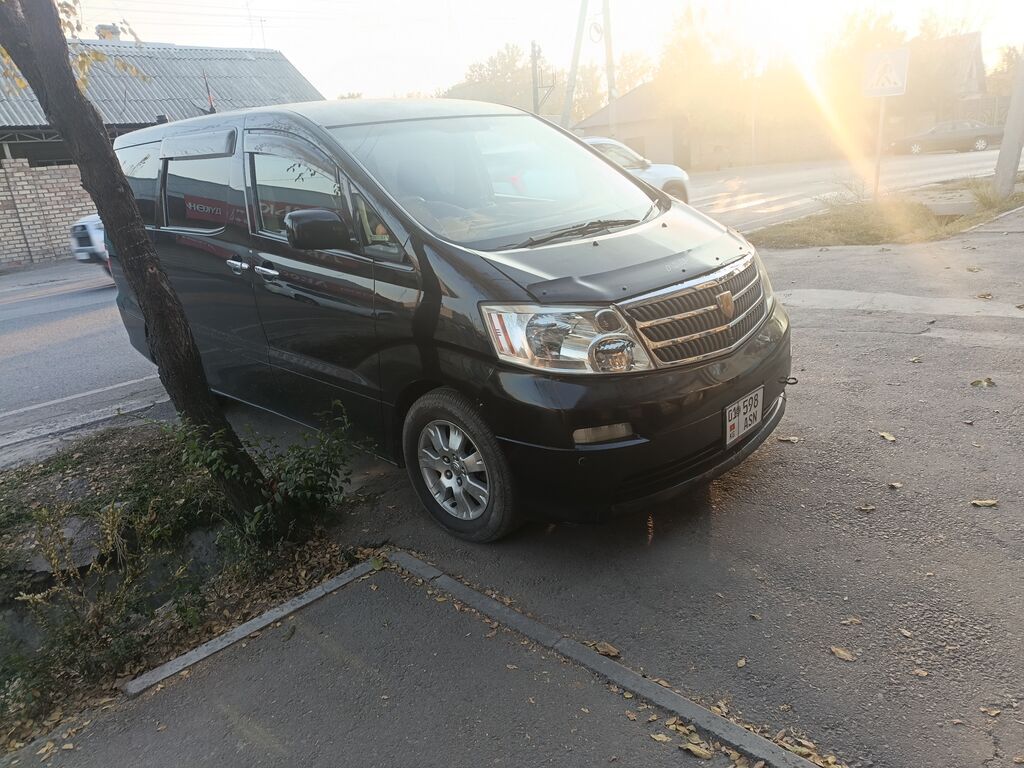 Toyota Alphard: 2003 г., 3 л, Автомат, Бензин, Минивэн: фото 3
