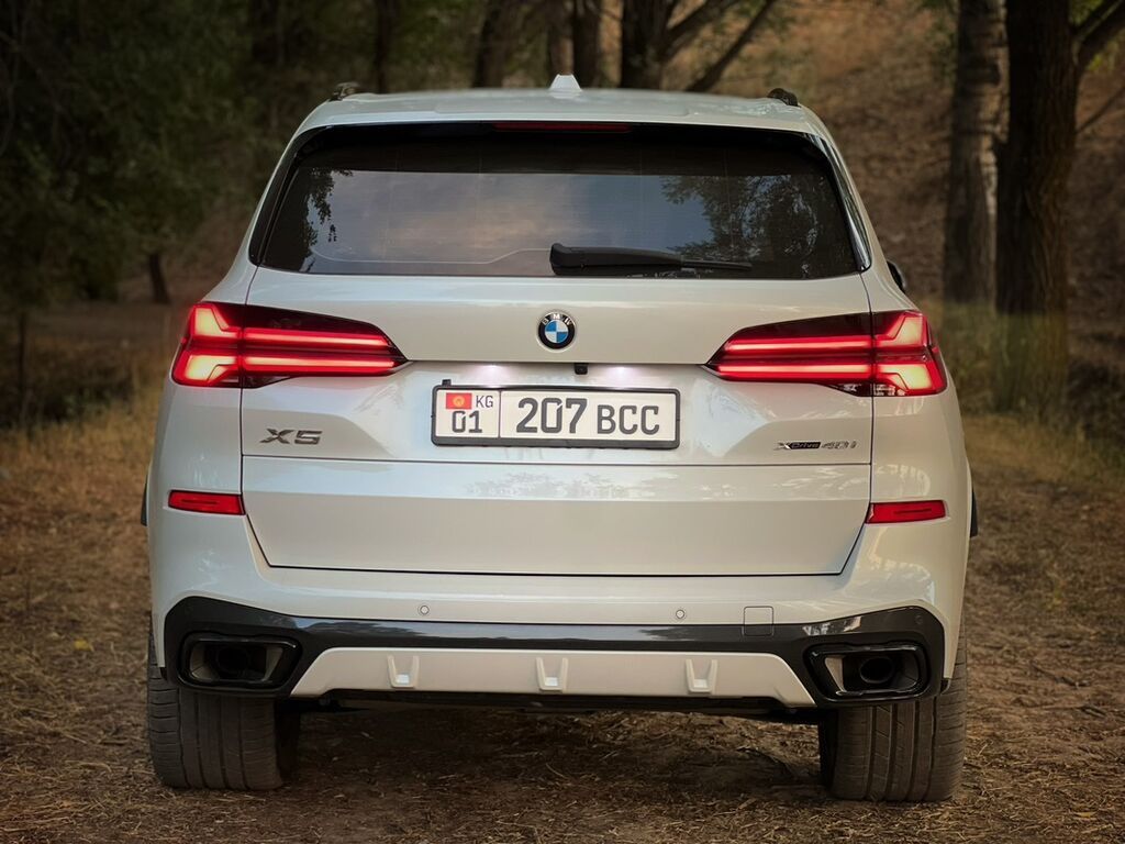 BMW X5: 2023 г., 3 л, Автомат, Бензин, Внедорожник: фото 4
