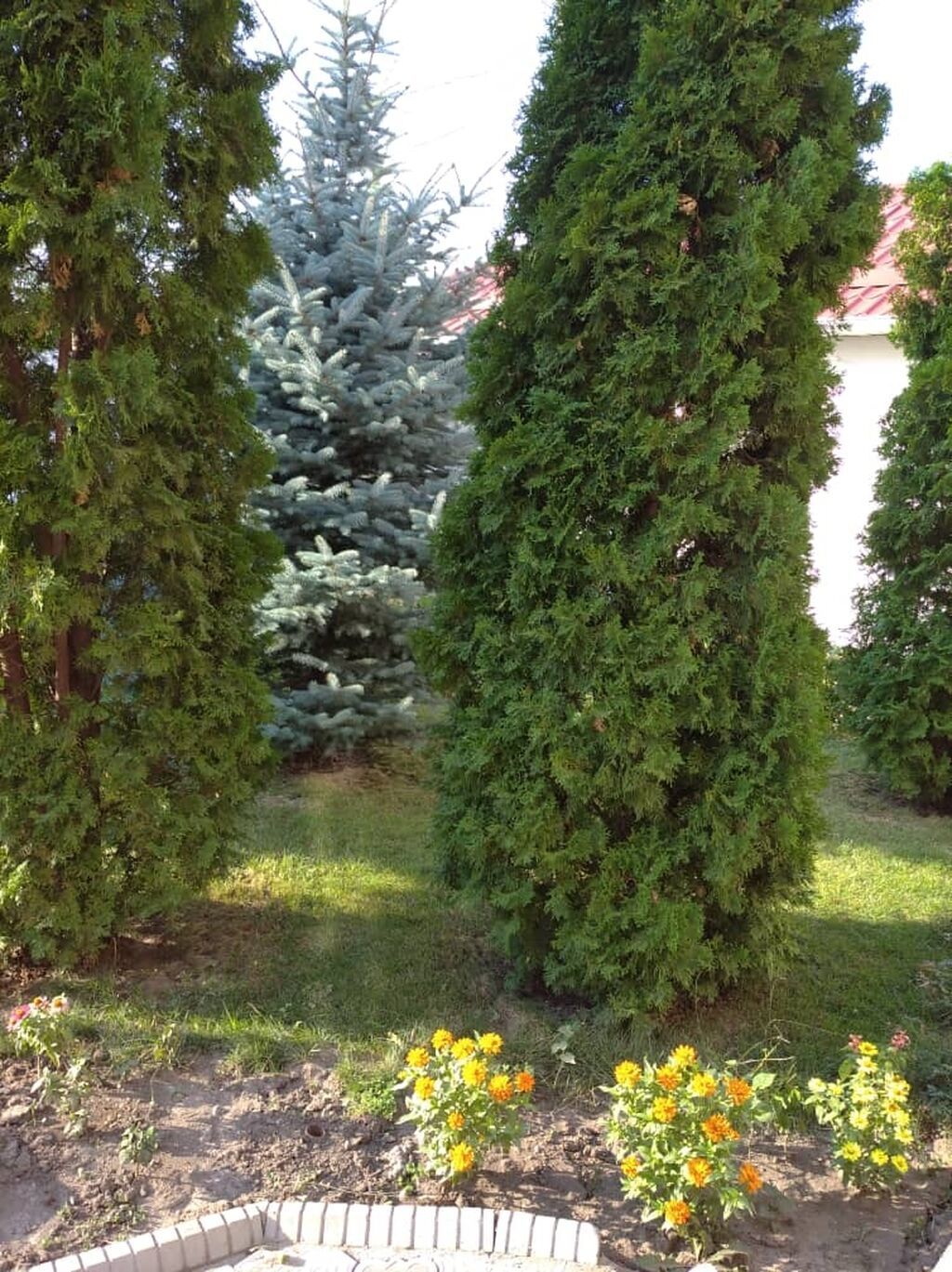 400 м², 6 комнат и более, Ала-Арча ТРЦ: фото 7
