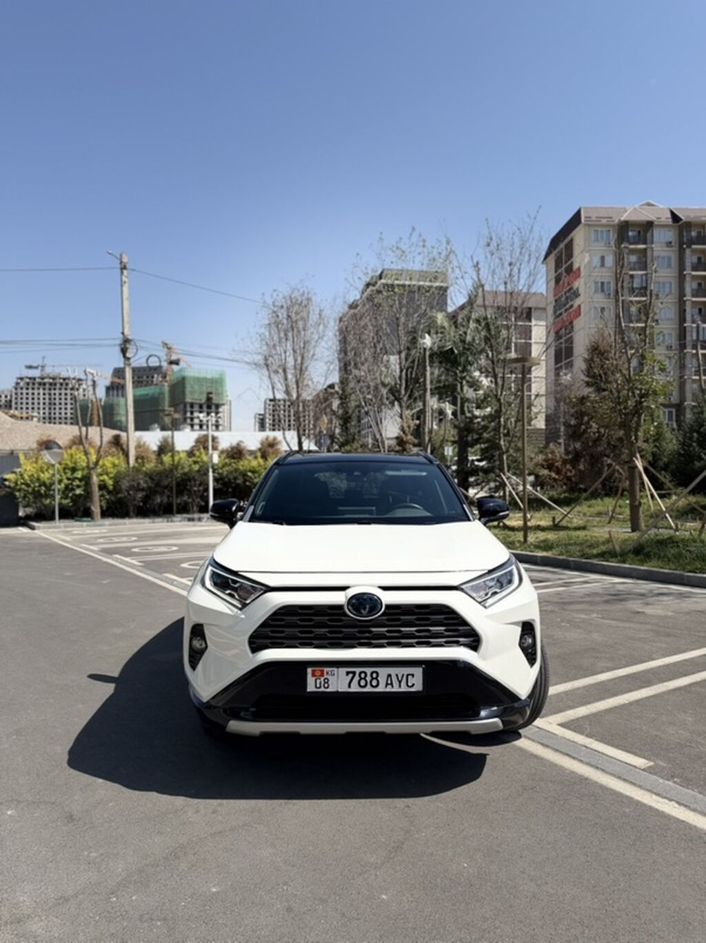 Toyota RAV4: 2019 г., 2.5 л, Автомат, Гибрид, Кроссовер: фото 1