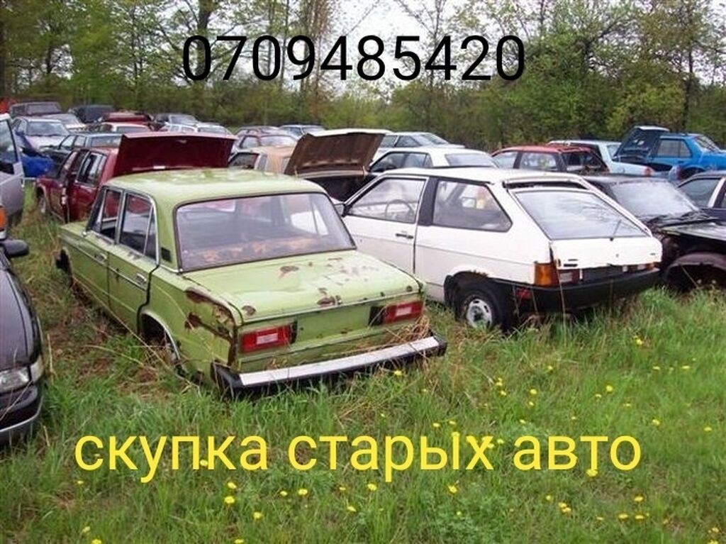 Фото на ватсап авто