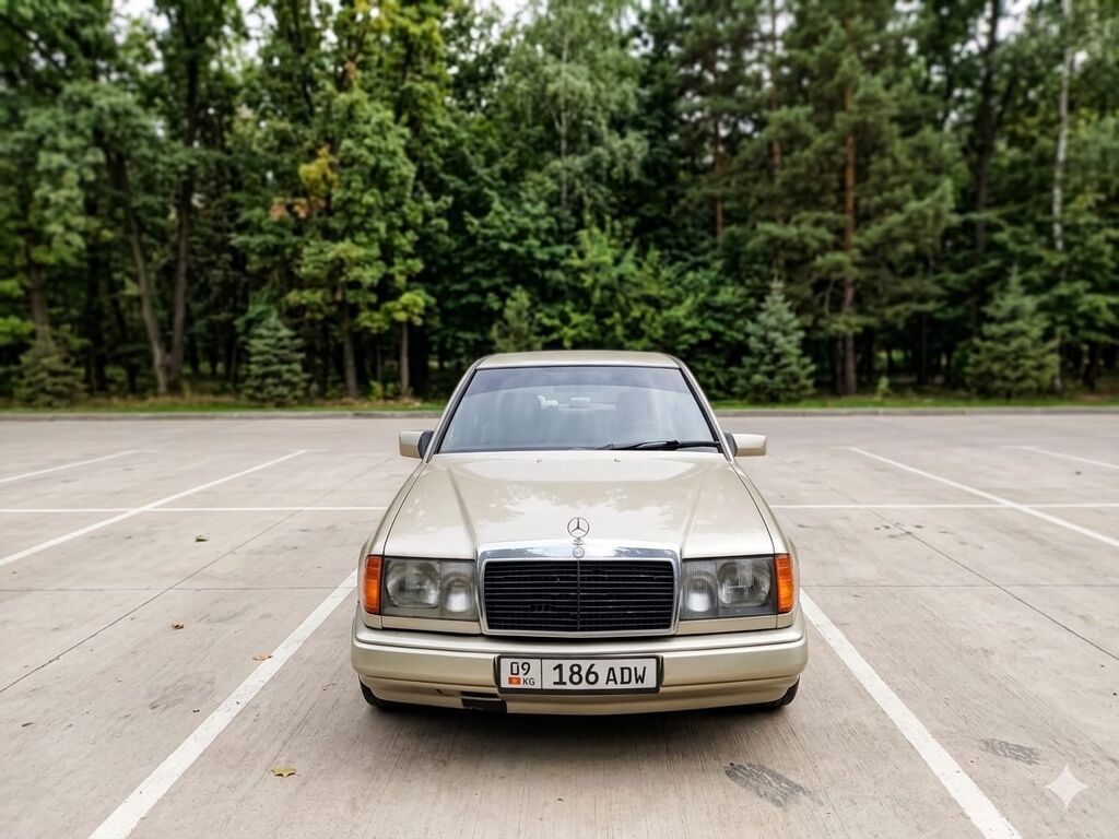 Mercedes-Benz W124: 1987 г., 2.5 л, Дизель, Седан: фото 1