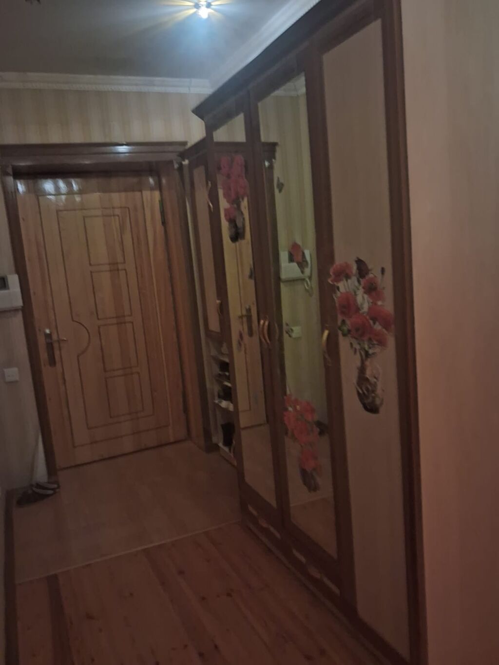100 kv. m, 3 otaqlı, İnternet, Telefon, Qaz