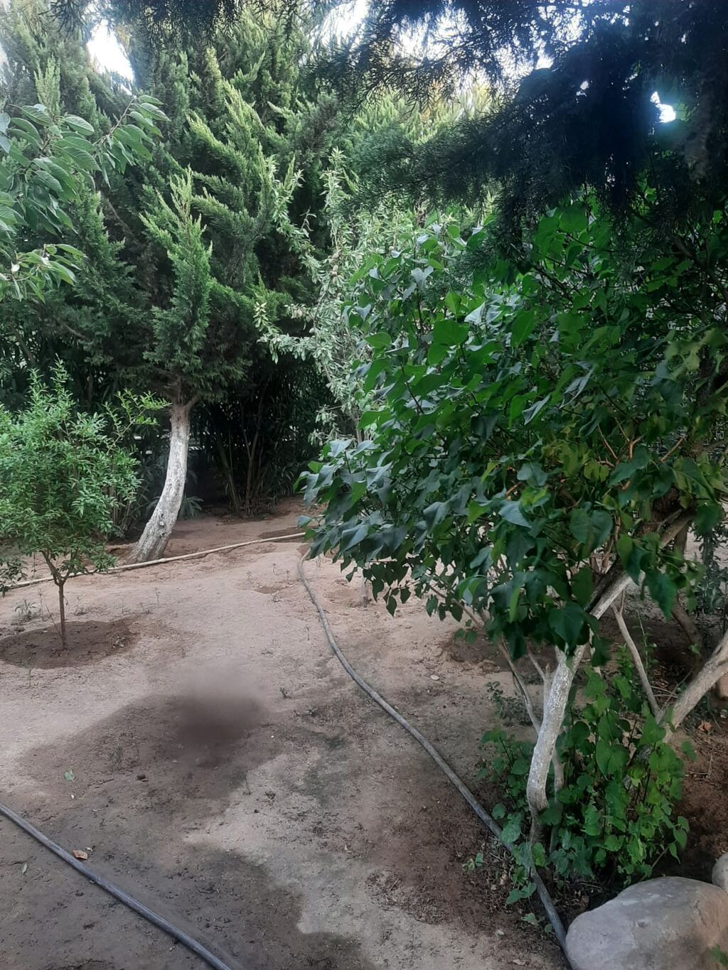 Bakı, 90 kv. m, 2 otaqlı, Hovuzlu, Su