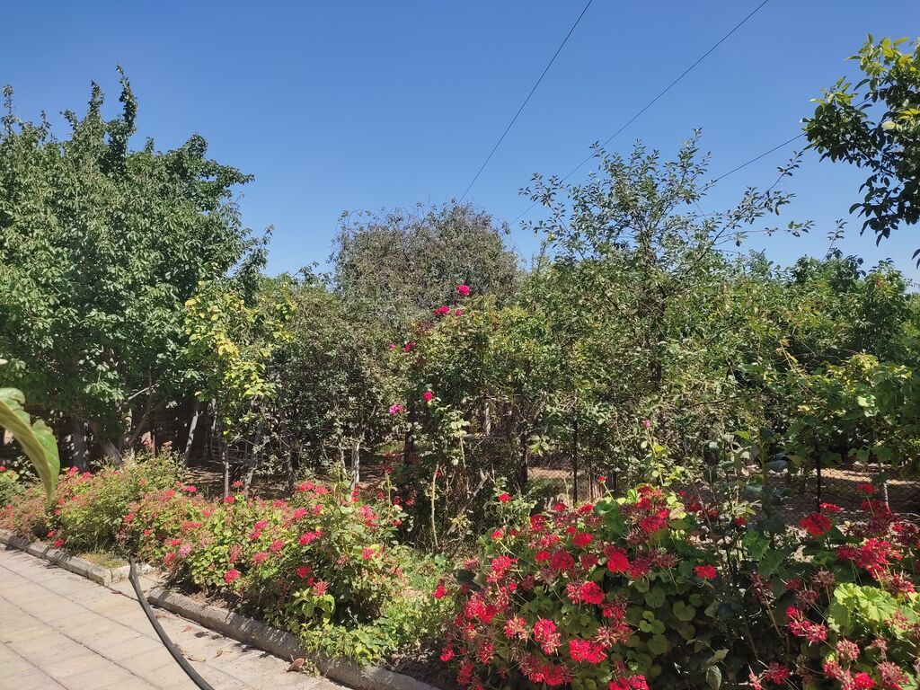Binəqədi qəs. 5 otaqlı, 240 kv. m, Kredit yoxdur, Orta təmir