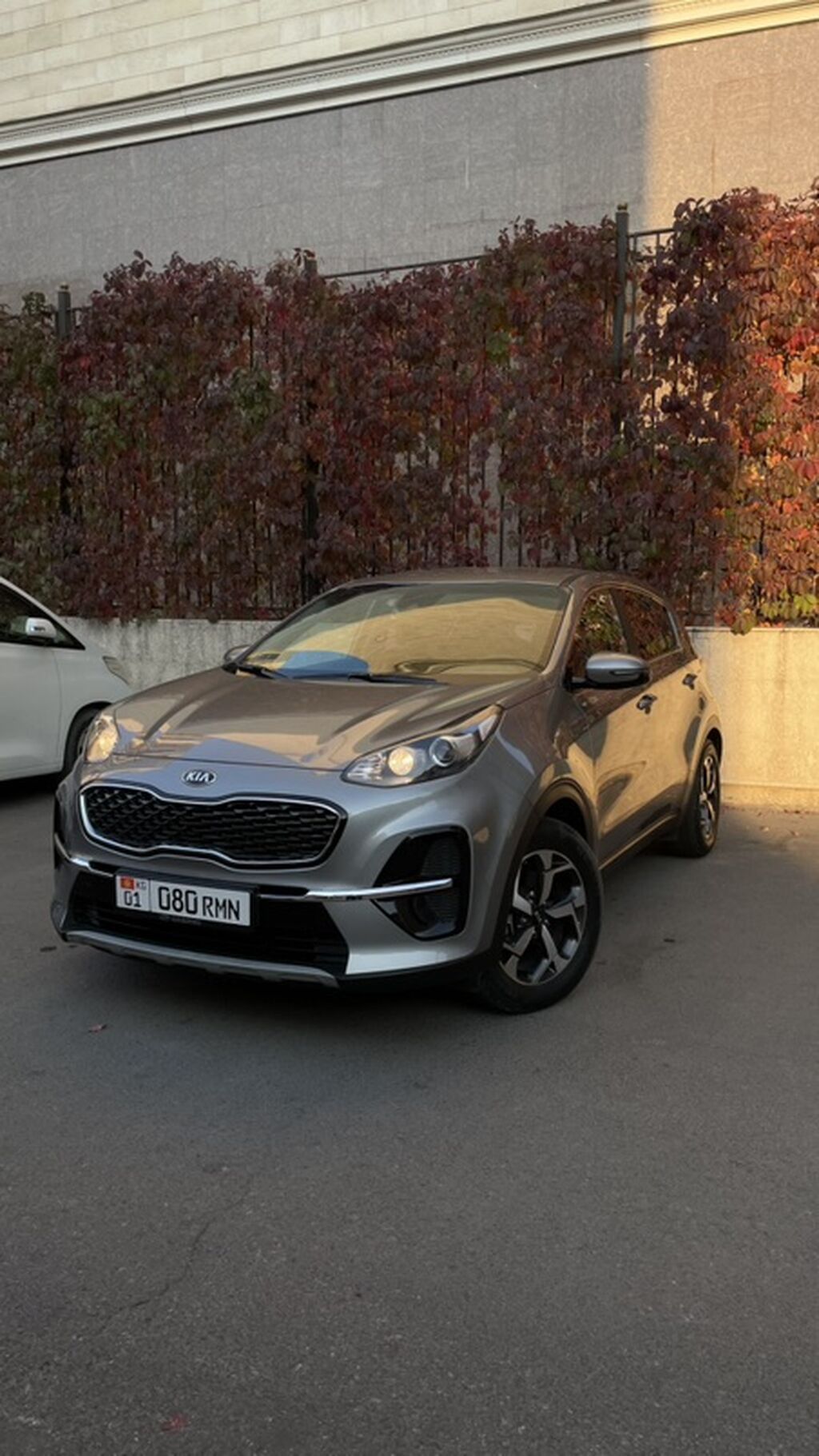 Kia Sportage: 2019 г., 2 л, Автомат, Дизель, Кроссовер: фото 1