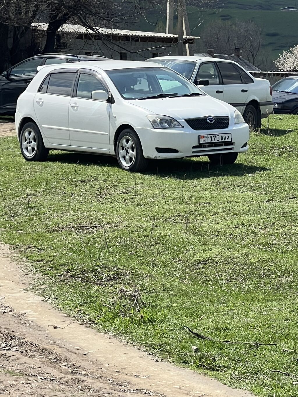Toyota Allex: 2004 г., 1.5 л, Автомат, Бензин, Хэтчбэк: фото 1
