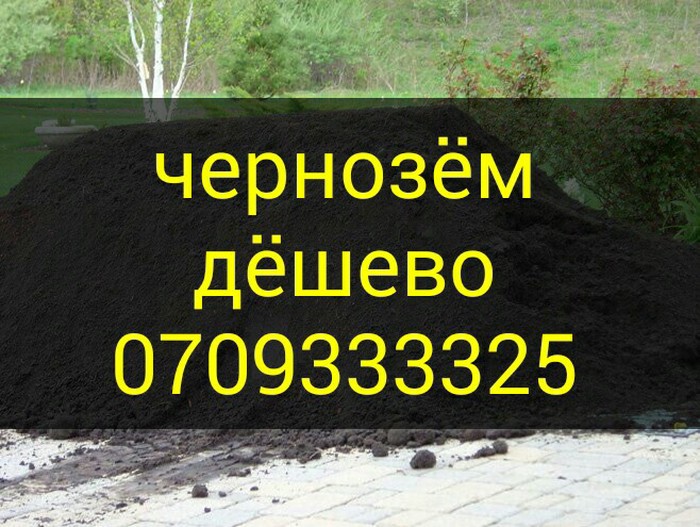 Другие товары для сада: Чернозём горный
для газона на lalafo.kg Чернозём горный
для газона в Бишкек