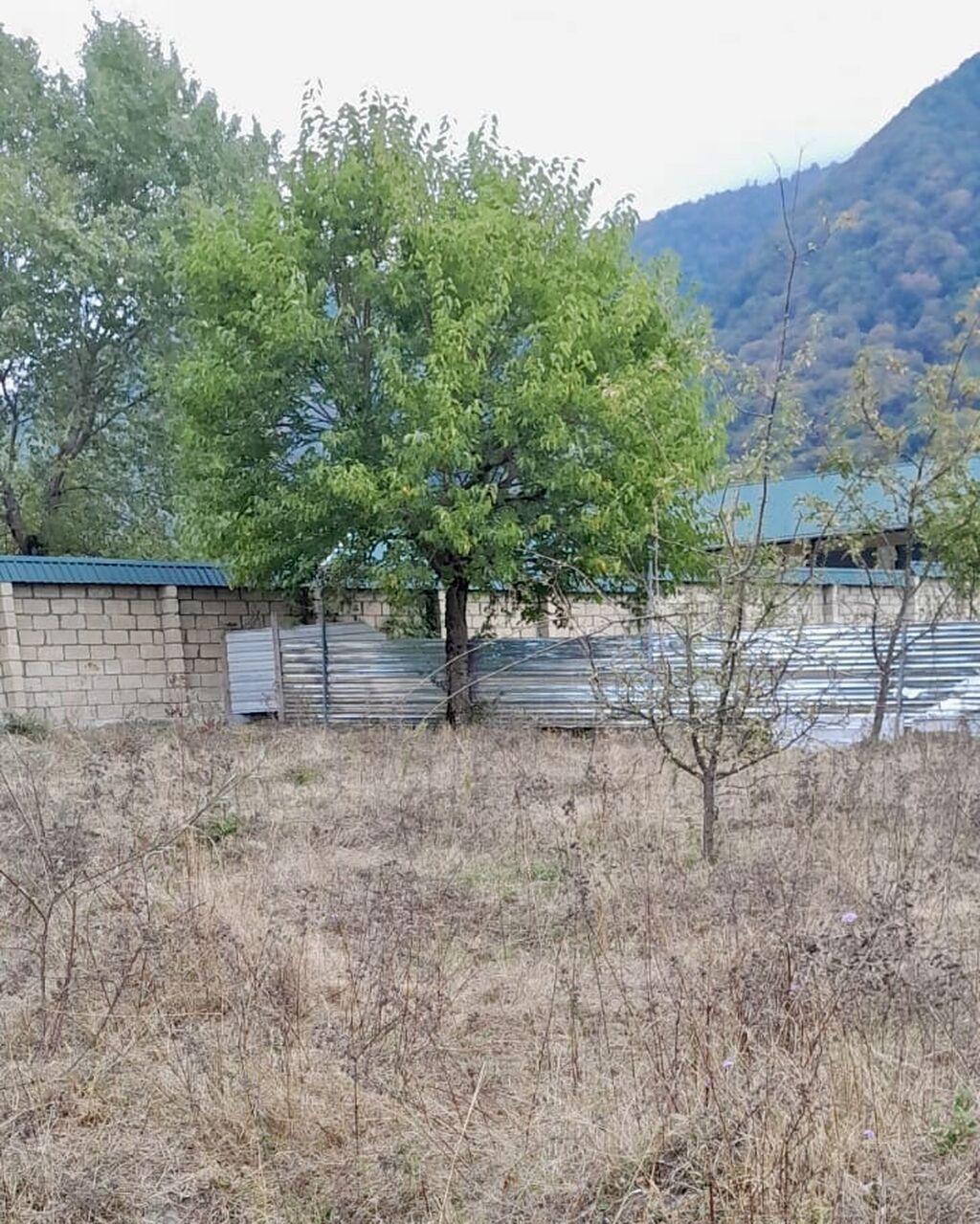 26 sot, Tikinti, Mülkiyyətçi, Kupça (Çıxarış)