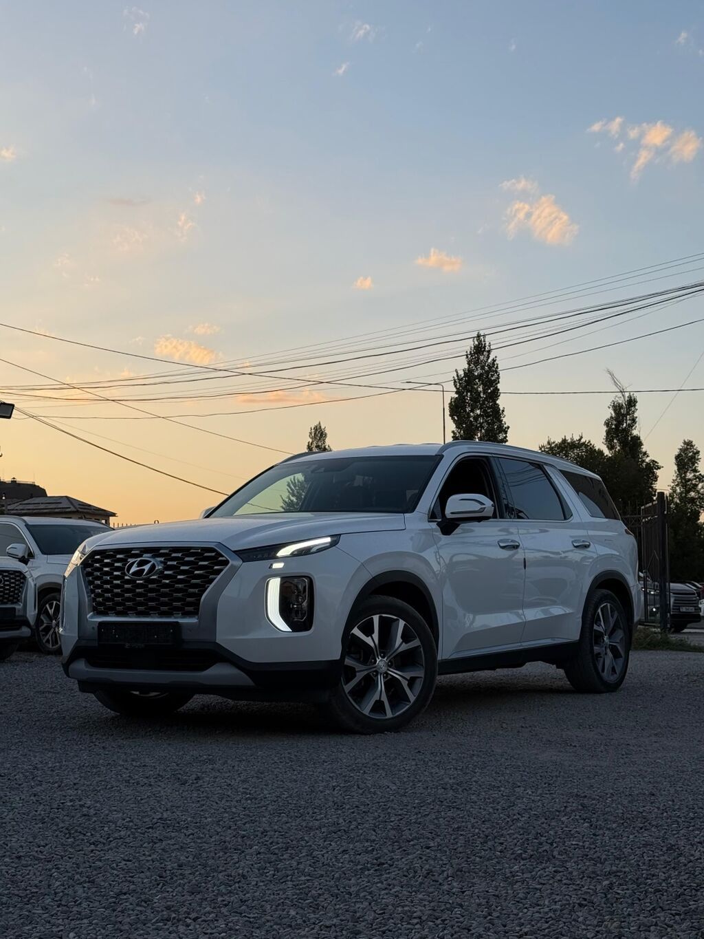 Hyundai Palisade: 2019 г., 2.2 л, Автомат, Дизель, Кроссовер: фото 8
