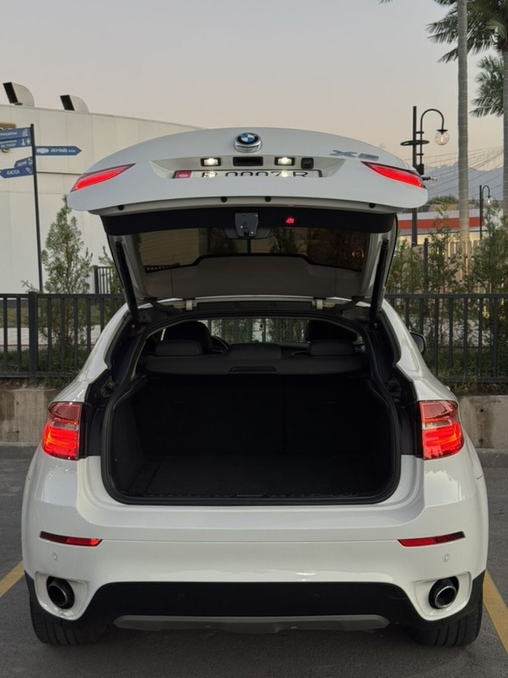 BMW X6: 2013 г., 3 л, Автомат, Бензин, Кроссовер: фото 5
