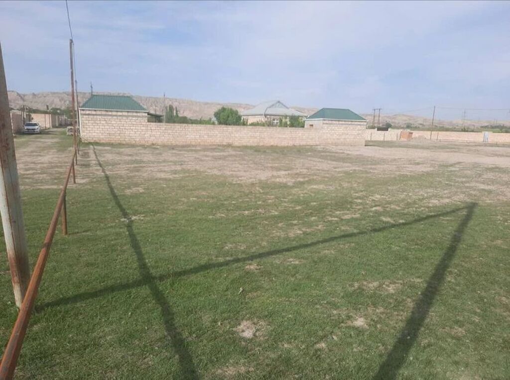 5 sot, Tikinti, Kupça (Çıxarış)