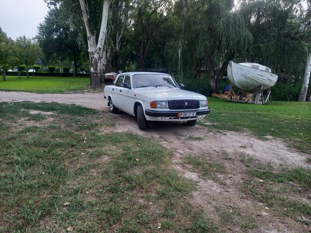 ГАЗ 31029 Volga: 1994 г., 2.4 л, Механика, Бензин, Седан: фото 2
