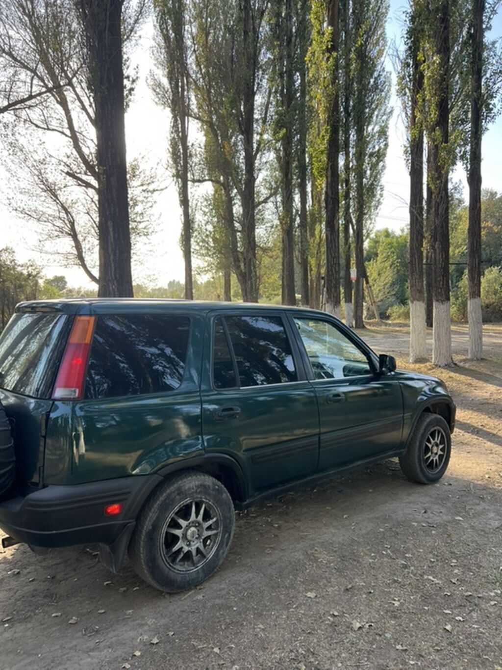 Фото 4