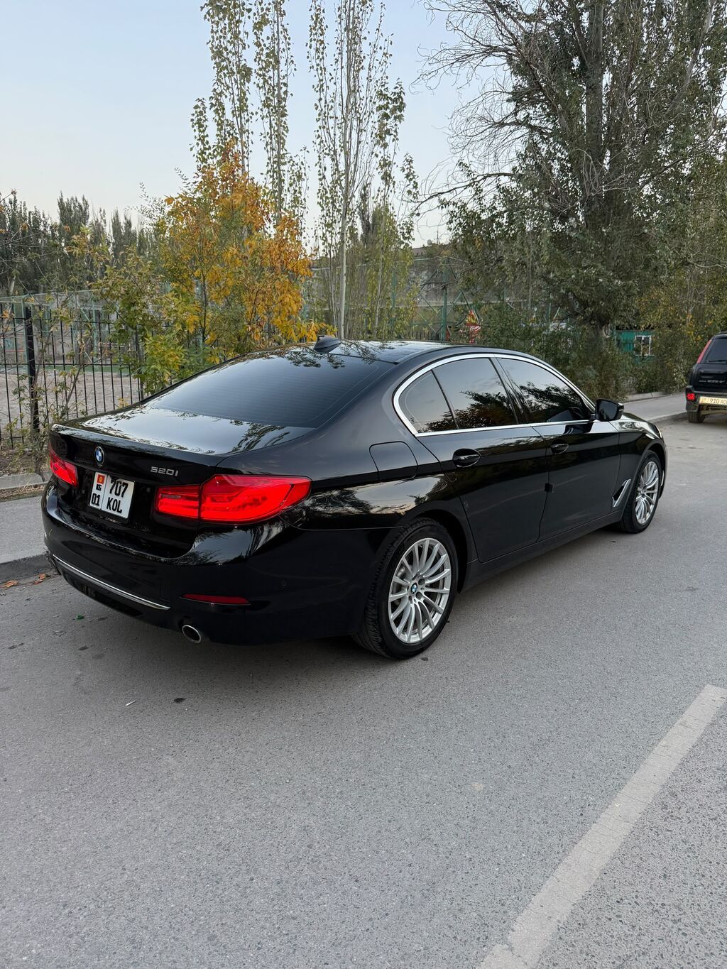 BMW 5 series: 2019 г., 2 л, Автомат, Бензин, Седан: фото 7