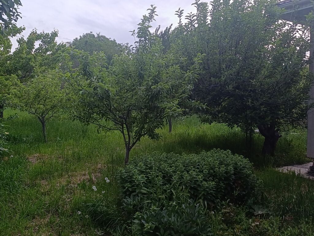 Продается дом в селе Арашан 16 соток,можно и под бизнес,первая — фото 5