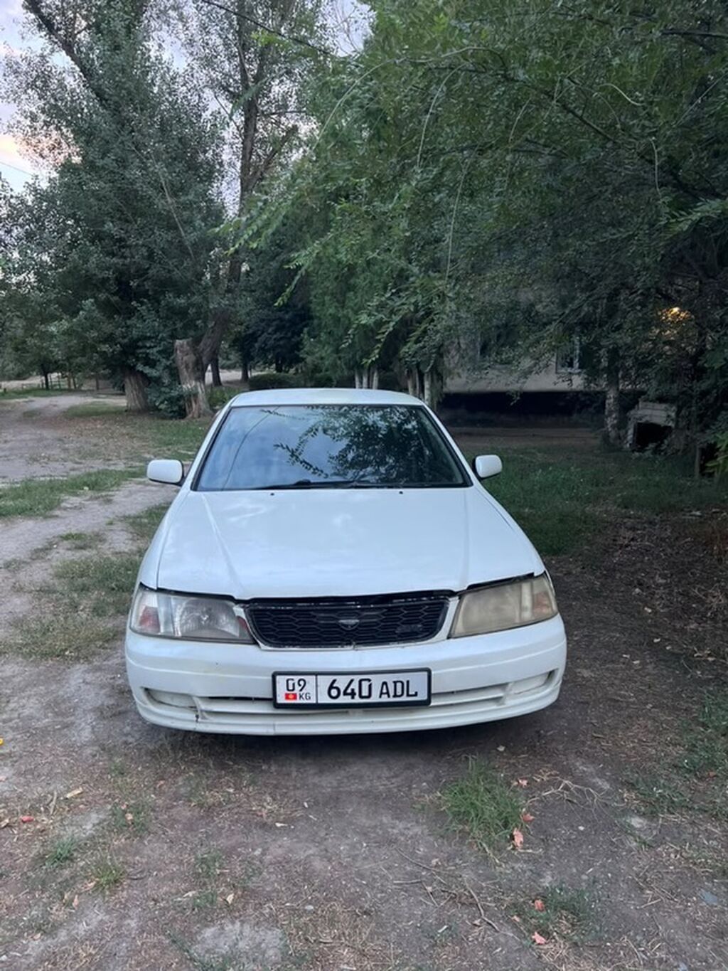 Nissan Bluebird: 2000 г., 1.8 л, Автомат, Седан: фото 1