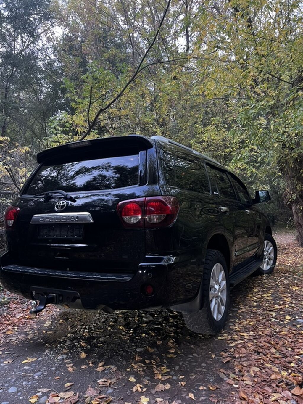 Toyota Sequoia: 2018 г., 5.7 л, Автомат, Газ, Внедорожник: фото 7