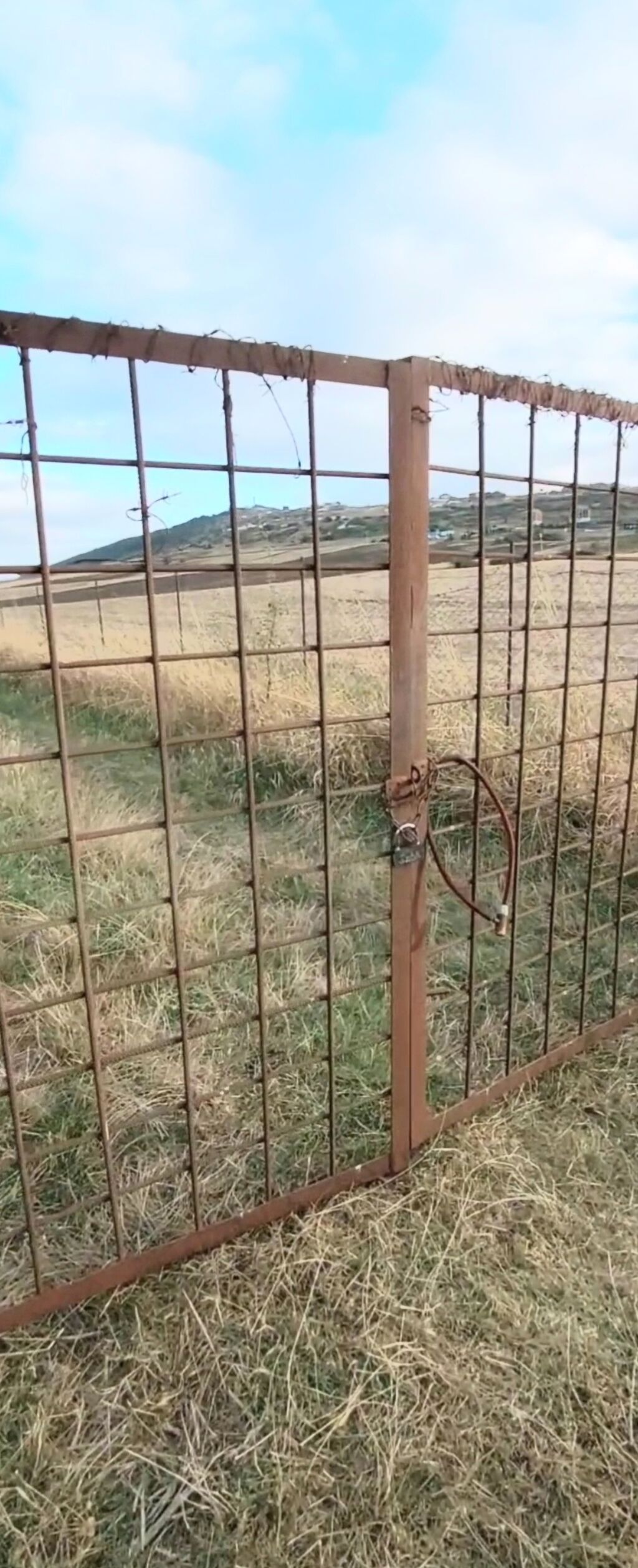 1100 sot, Tikinti, Maklerlər narahat etməsin, Kupça (Çıxarış)