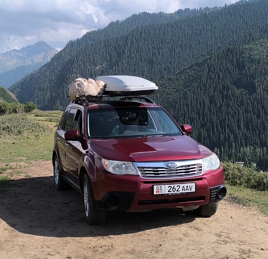 Subaru Forester: 2010 г., 2.5 л, Автомат, Газ, Кроссовер: фото 2