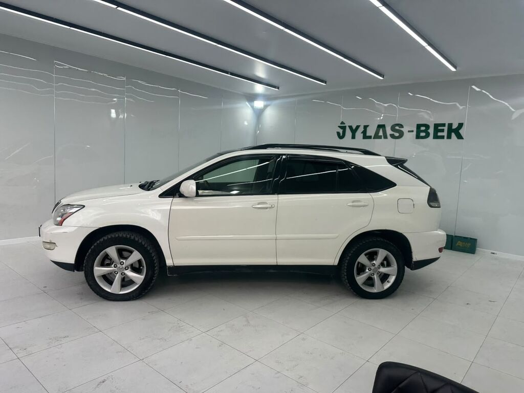 Lexus RX: 2004 г., 3.3 л, Автомат, Бензин, Кроссовер: фото 1