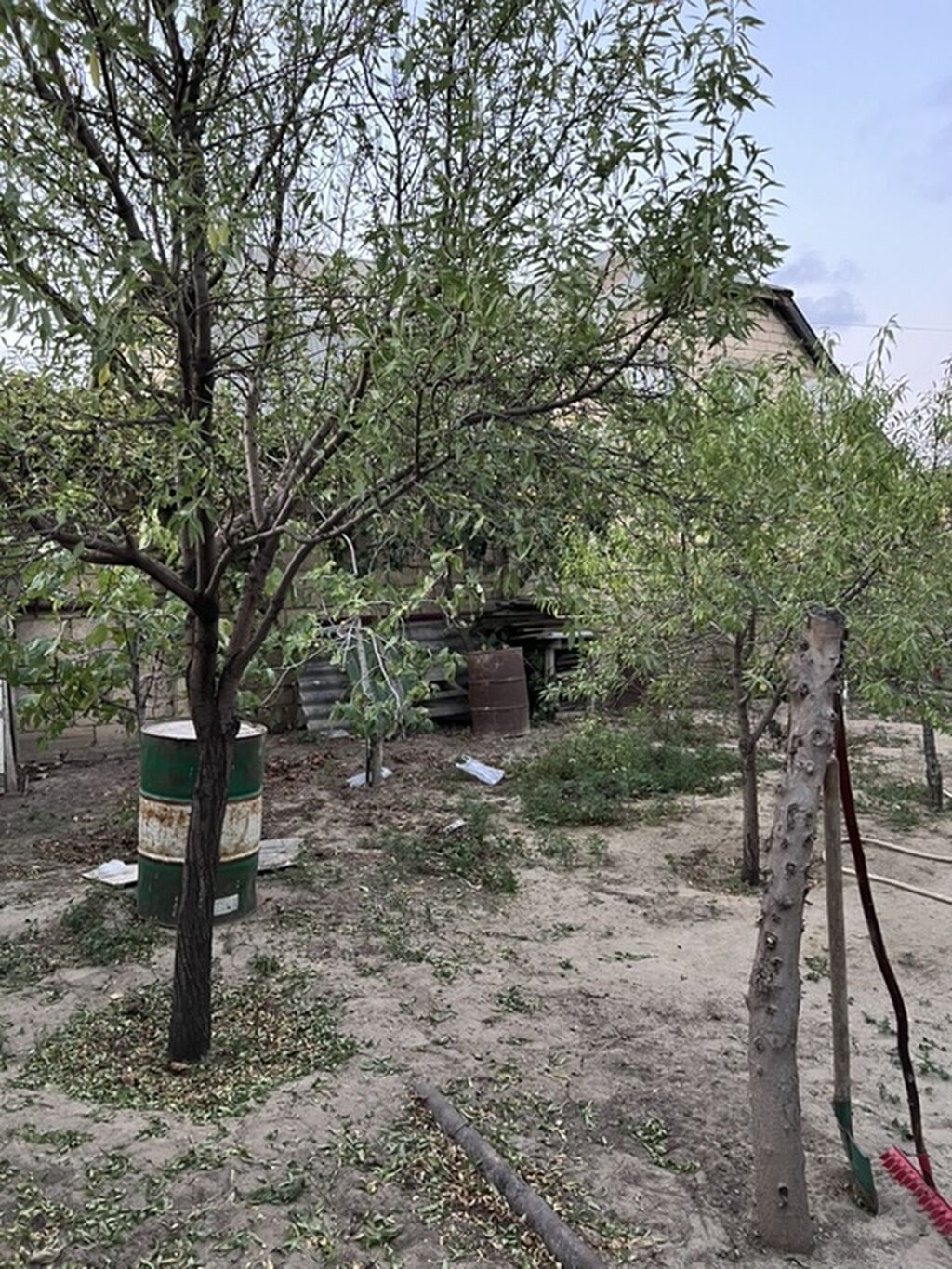 Sarayda torpağ 2.5 sotdu. Bu həyəti alan özü üçün evdə tikə bilər