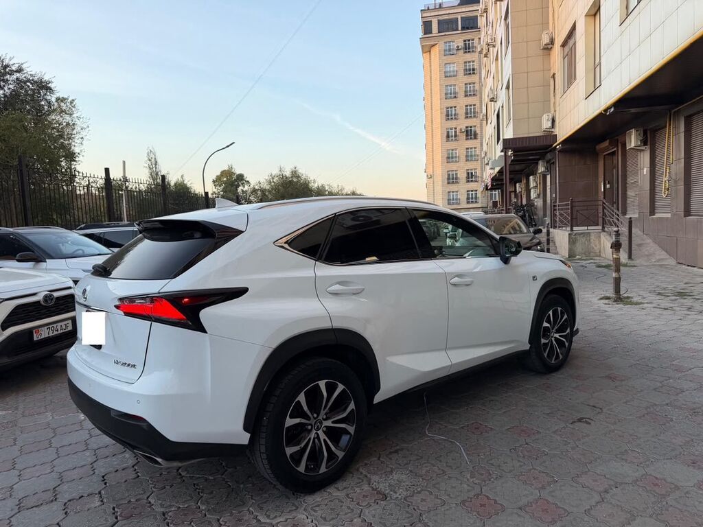 Lexus NX: 2017 г., Кроссовер: фото 2
