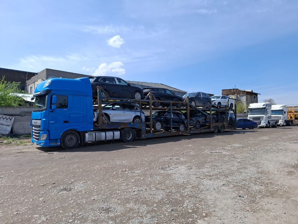 Тягач, DAF, 2019 г., Трал: фото 1