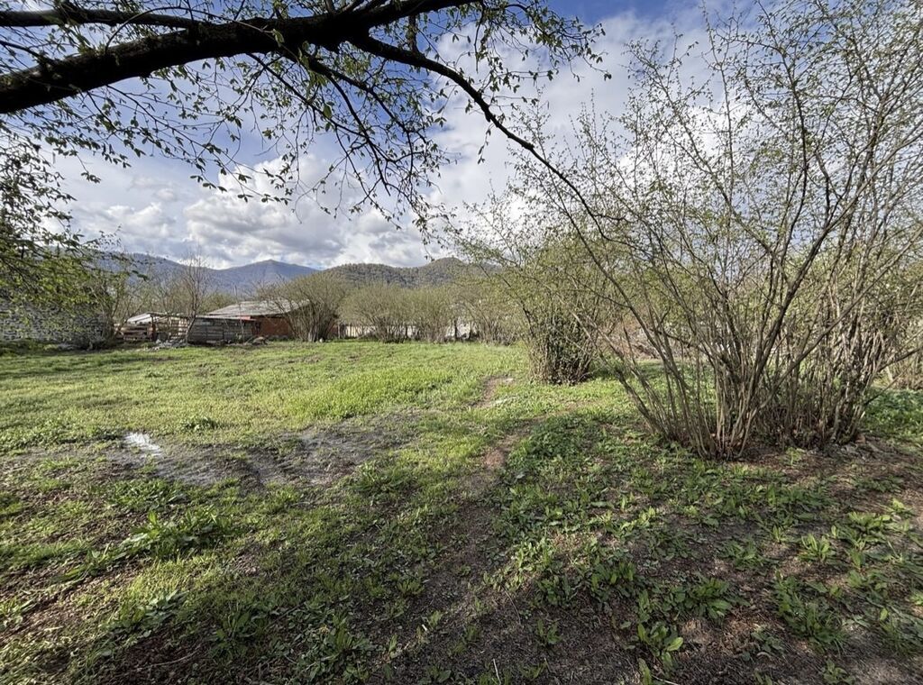 Tikinti, Mülkiyyətçi, Kupça (Çıxarış)