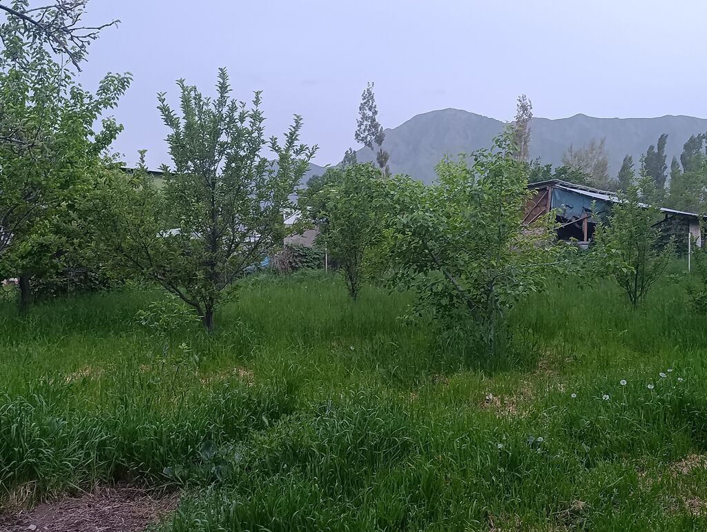 Продается дом в селе Арашан 16 соток,можно и под бизнес,первая — фото 3