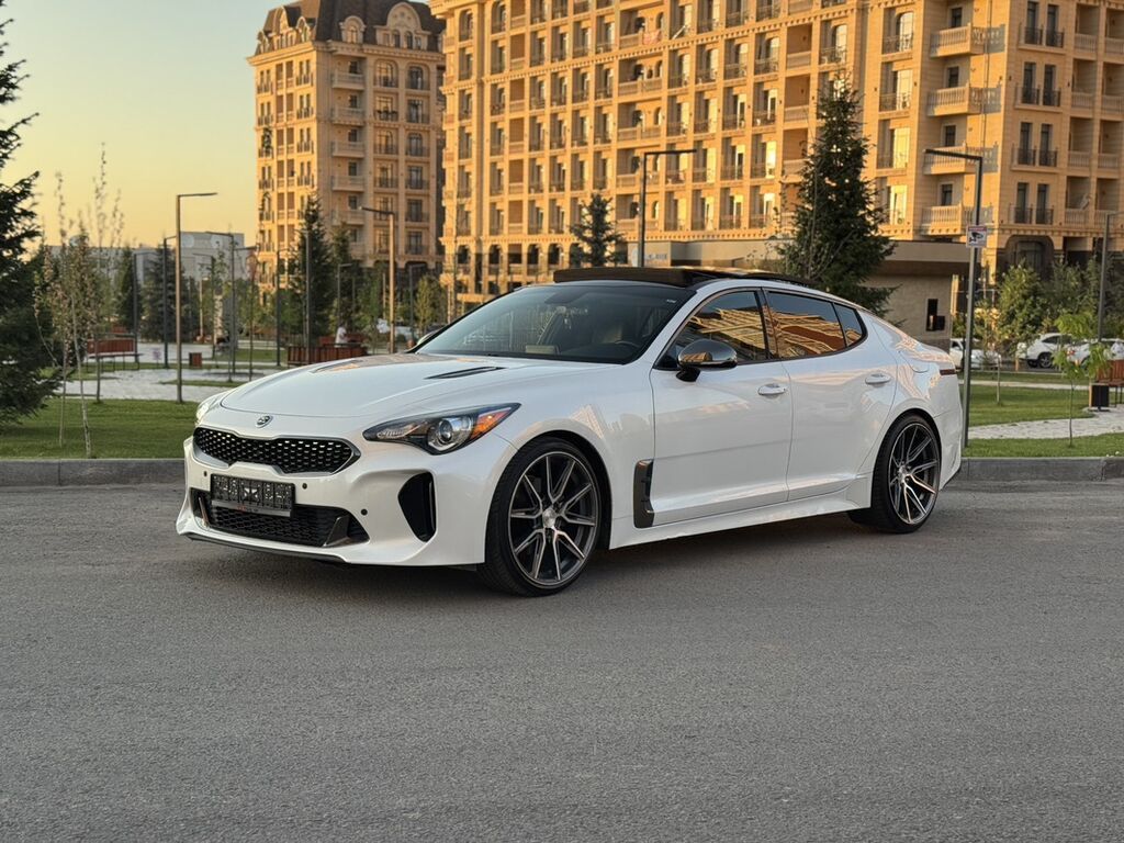 Kia Stinger: 2019 г., 2 л, Автомат, Бензин, Фастбек: фото 1