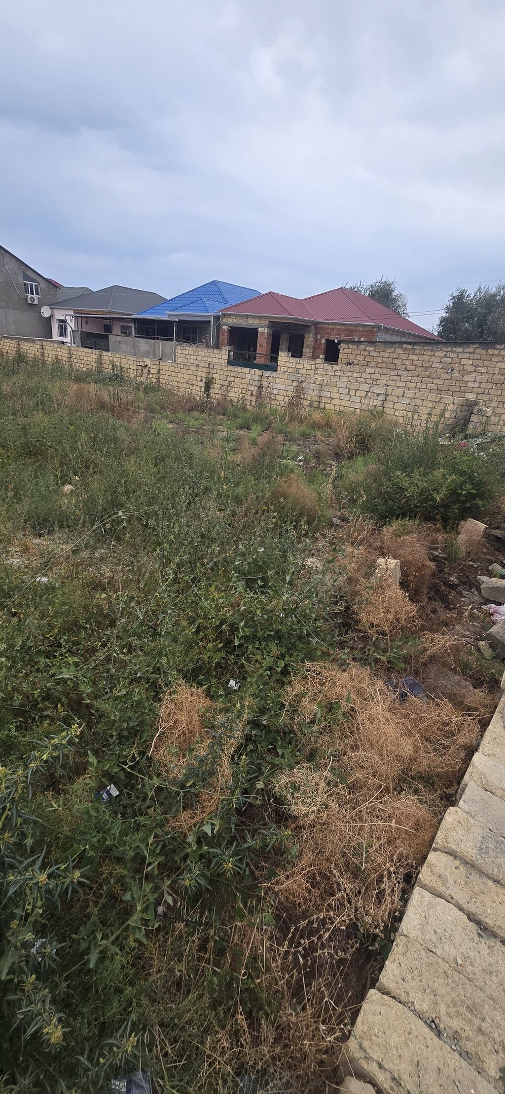 6 sot, Kənd təsərrüfatı, Mülkiyyətçi, Kupça (Çıxarış)