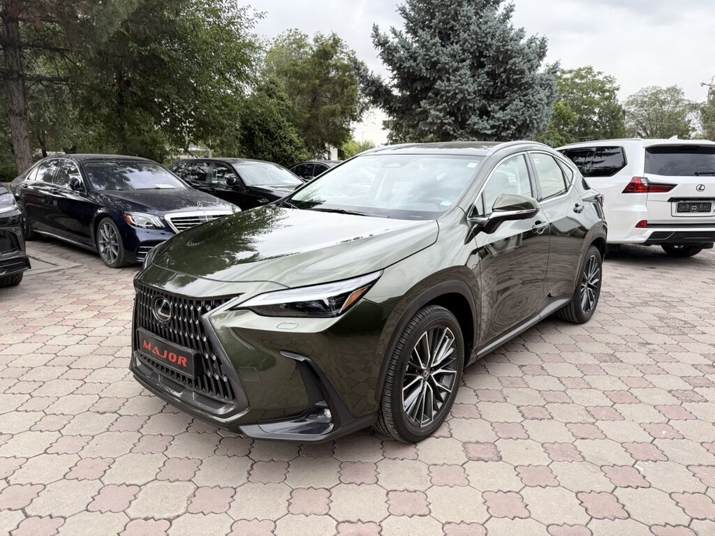 Lexus NX: 2022 г., 2.5 л, Автомат, Гибрид, Кроссовер: фото 1