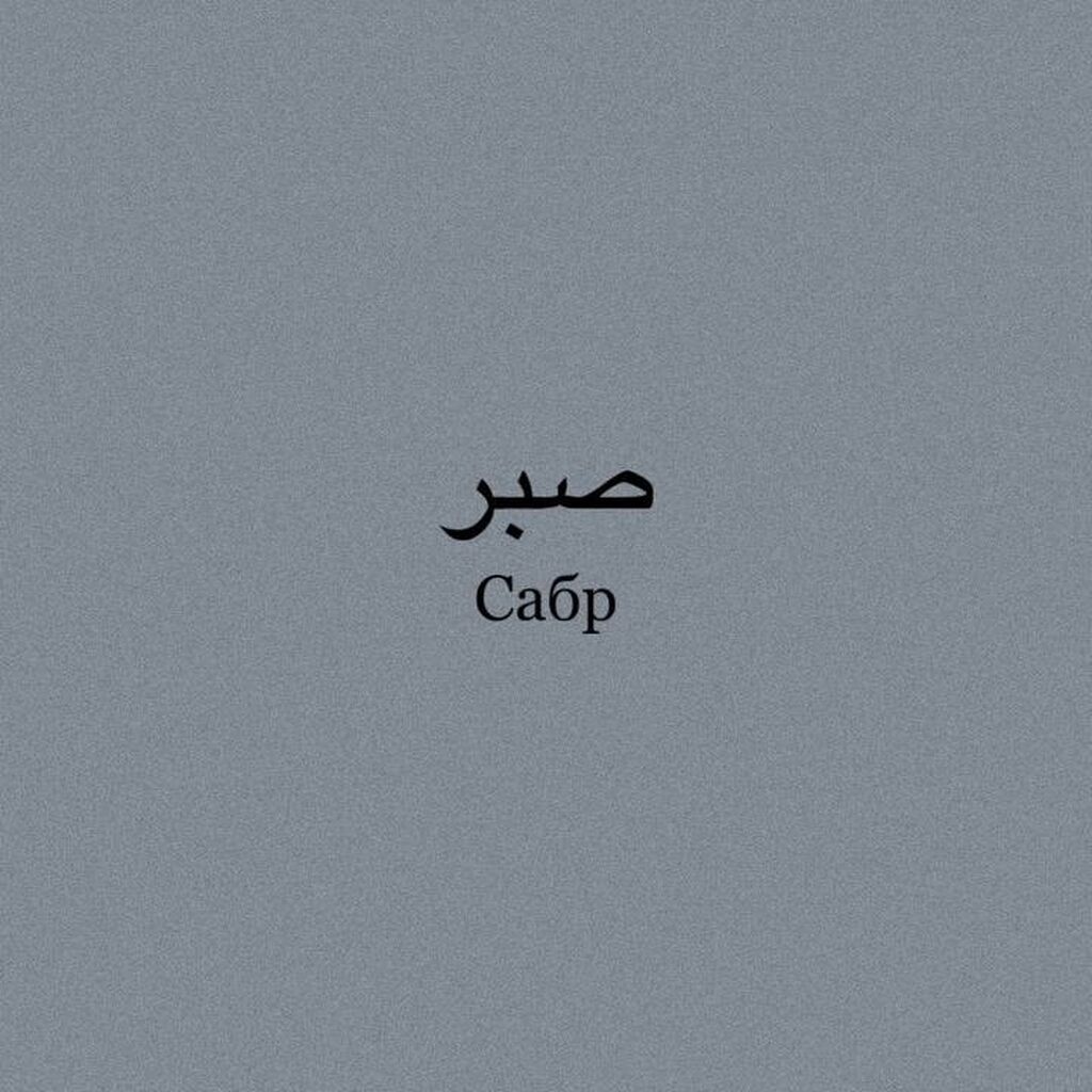 Обои на айфон сабр