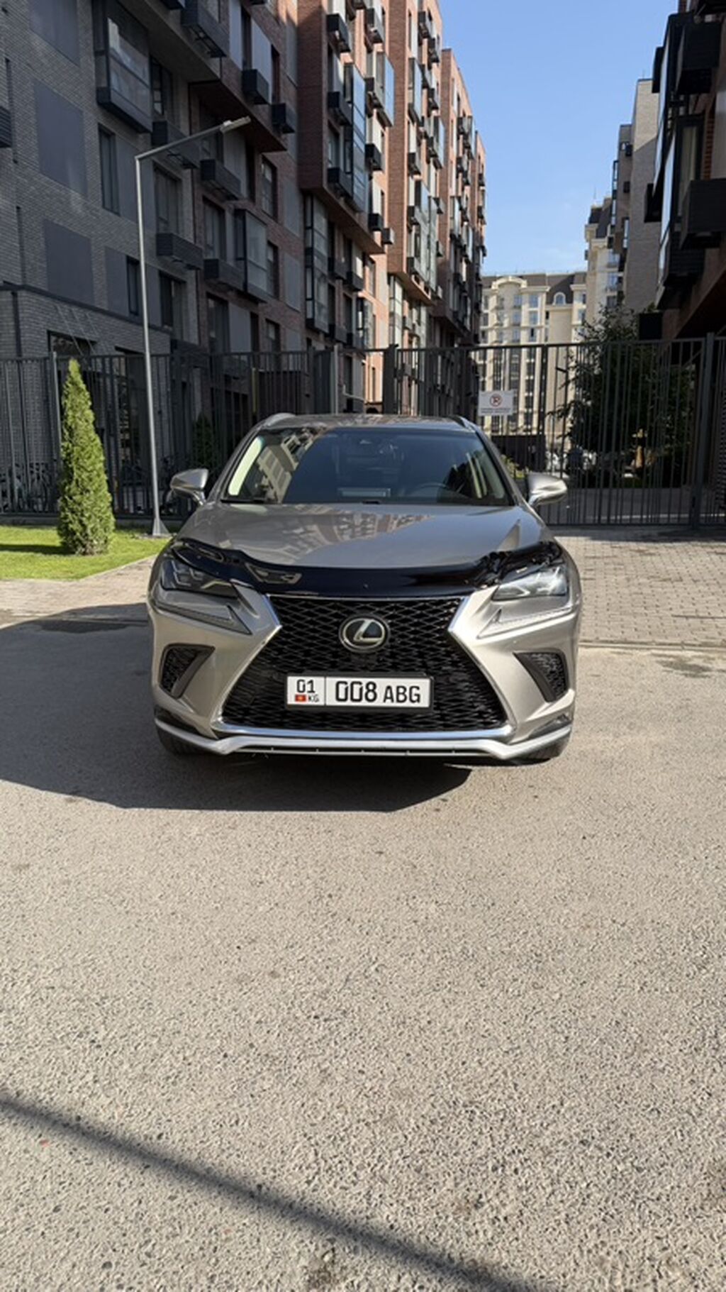 Lexus NX: 2019 г., 0.2 л, Автомат, Бензин, Кроссовер: фото 5