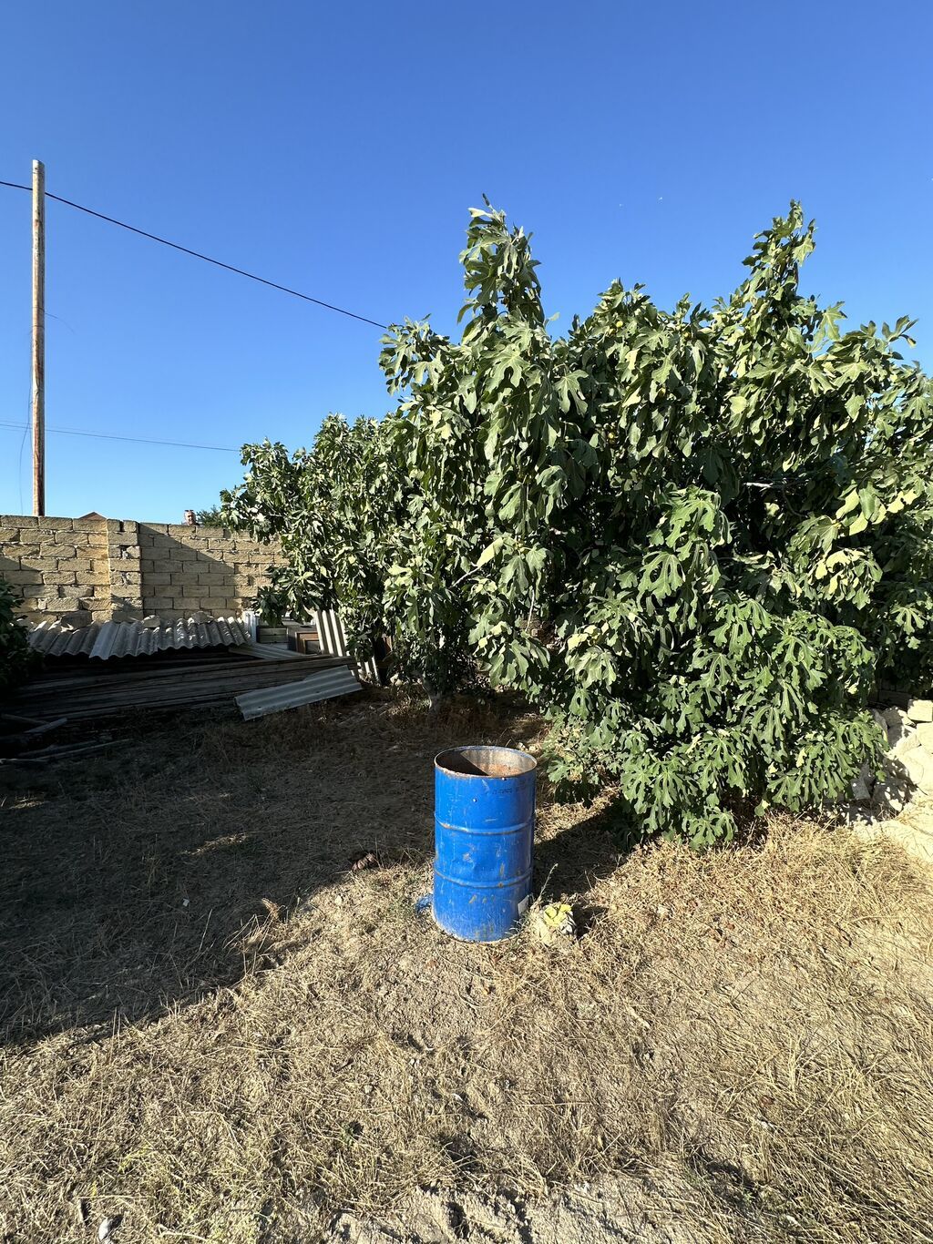 4 sot, Tikinti, Maklerlər narahat etməsin, Kupça (Çıxarış)
