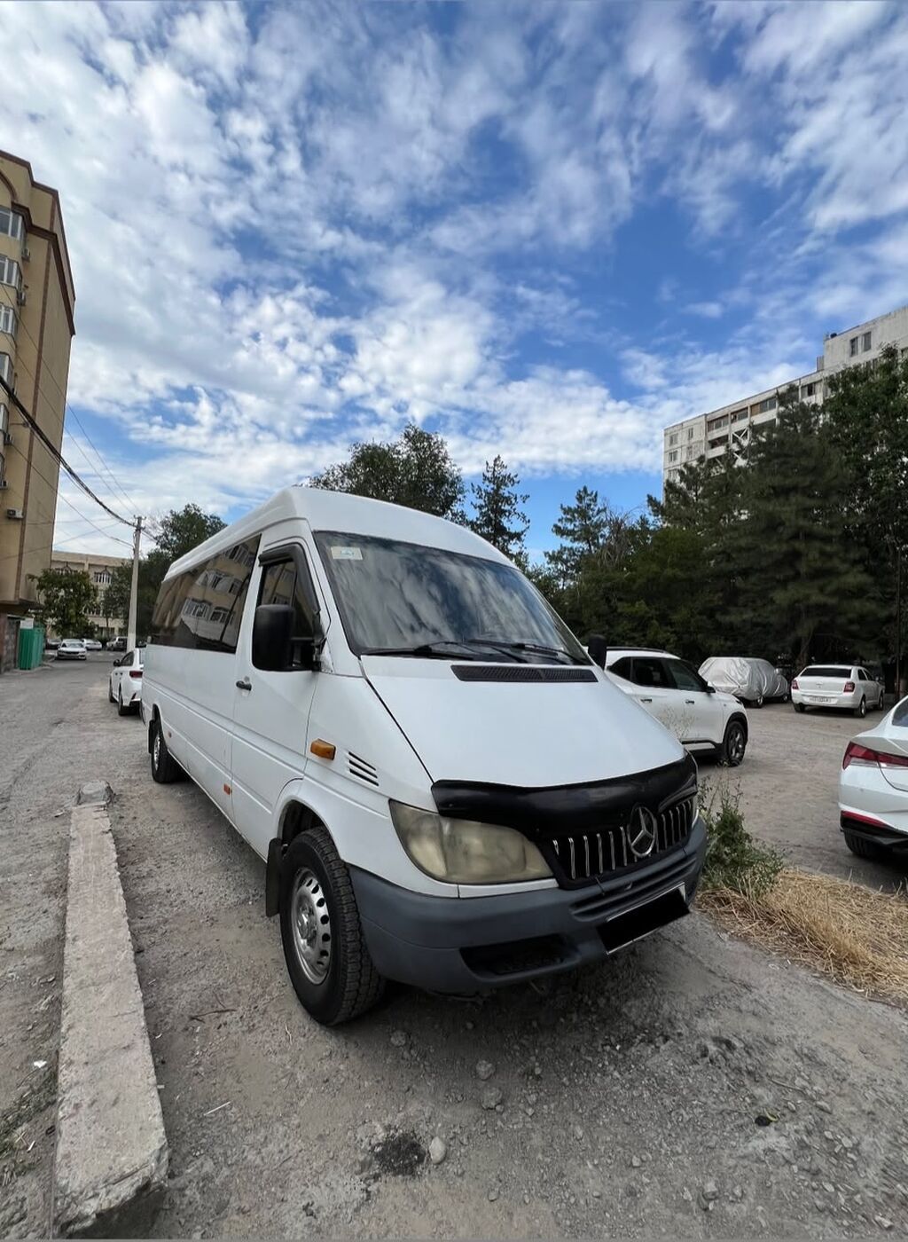 Mercedes-Benz Спринтер: 2002 г., 2.9 л, Механика, Дизель, Бус: фото 4