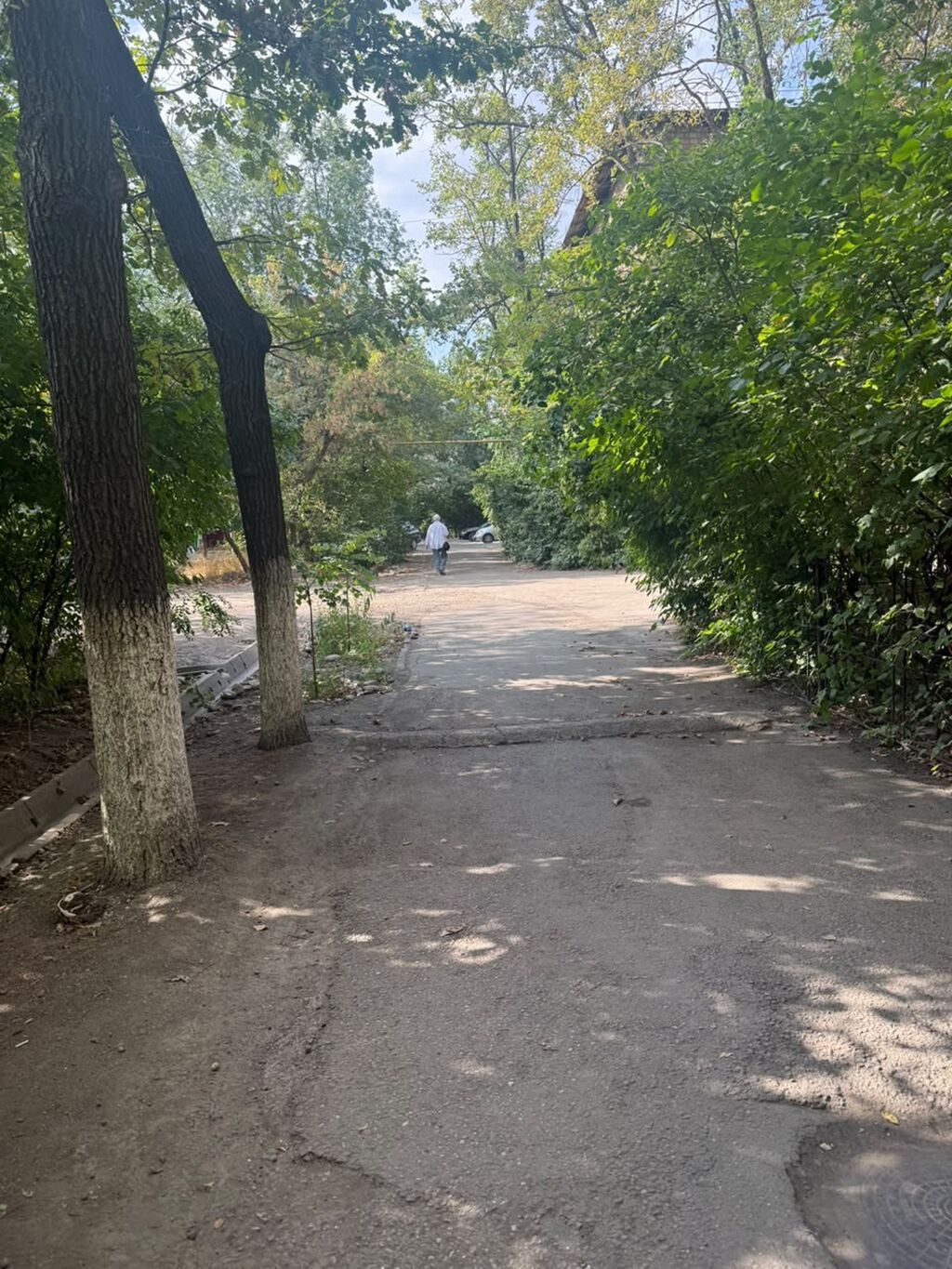 1 комната, 30 м², 1 этаж: фото 6