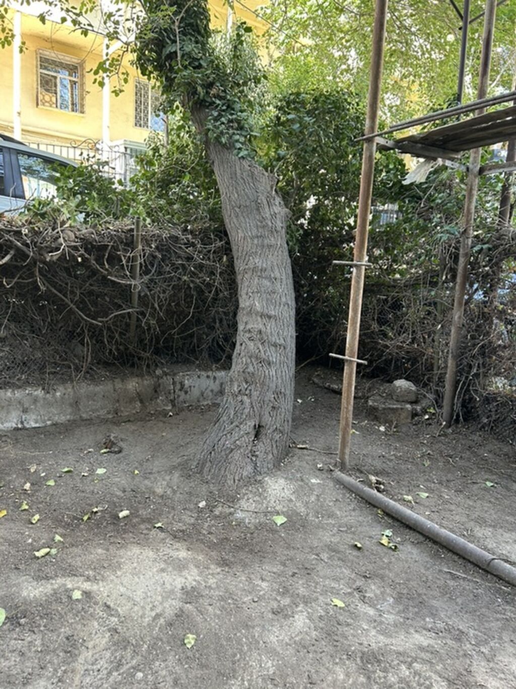 Bakı, 2 otaqlı, Köhnə tikili, 41 kv. m