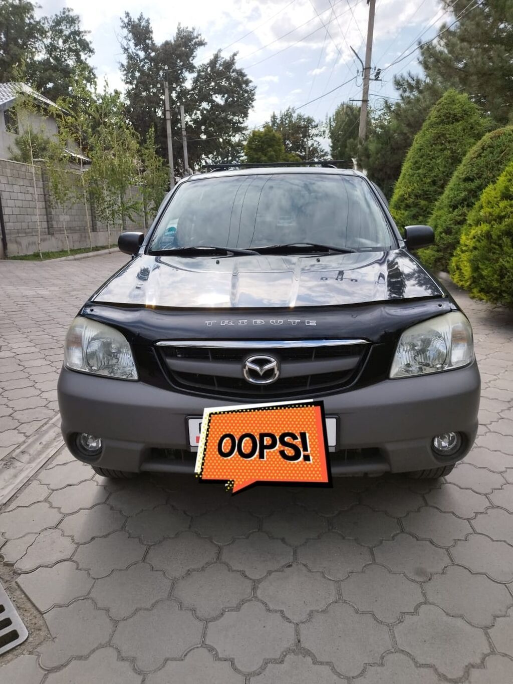 Mazda Tribute: 2003 г., Кроссовер: фото 1