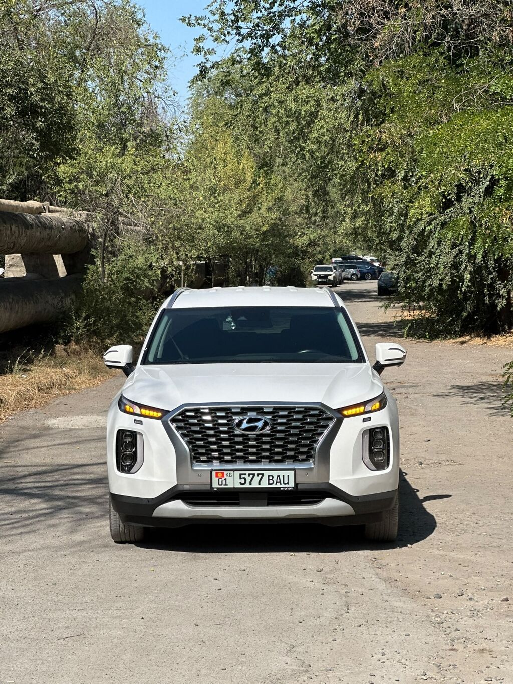 Hyundai Palisade: 2021 г., 2.2 л, Автомат, Дизель, Внедорожник: фото 5