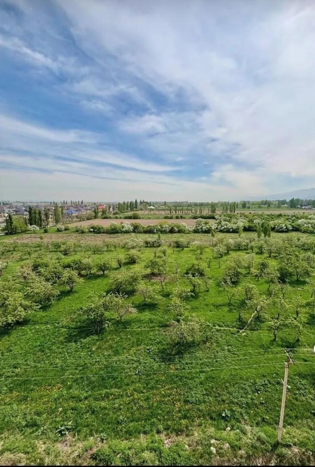 1 комната, 54 м², Кок-Жар ж/м 1 этаж, ПСО (под самоотделку): фото 5
