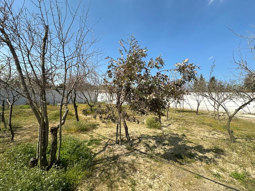 Mehdiabad, 110 kv. m, 4 otaqlı, Hovuzsuz, Artezian quyusu, Qaz, Telefon