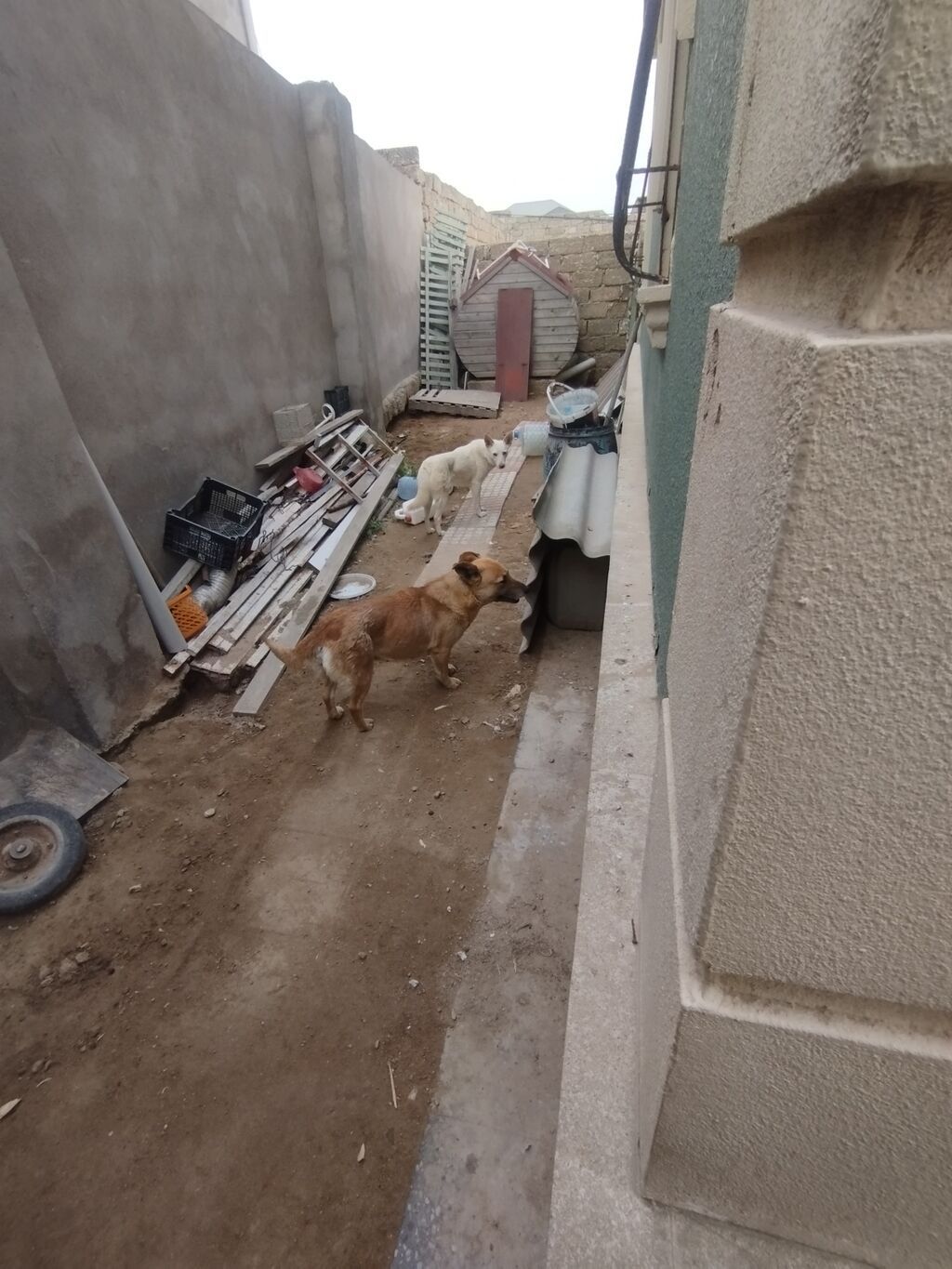 4 otaqlı, 400 kv. m, Kredit yoxdur, Yeni təmirli