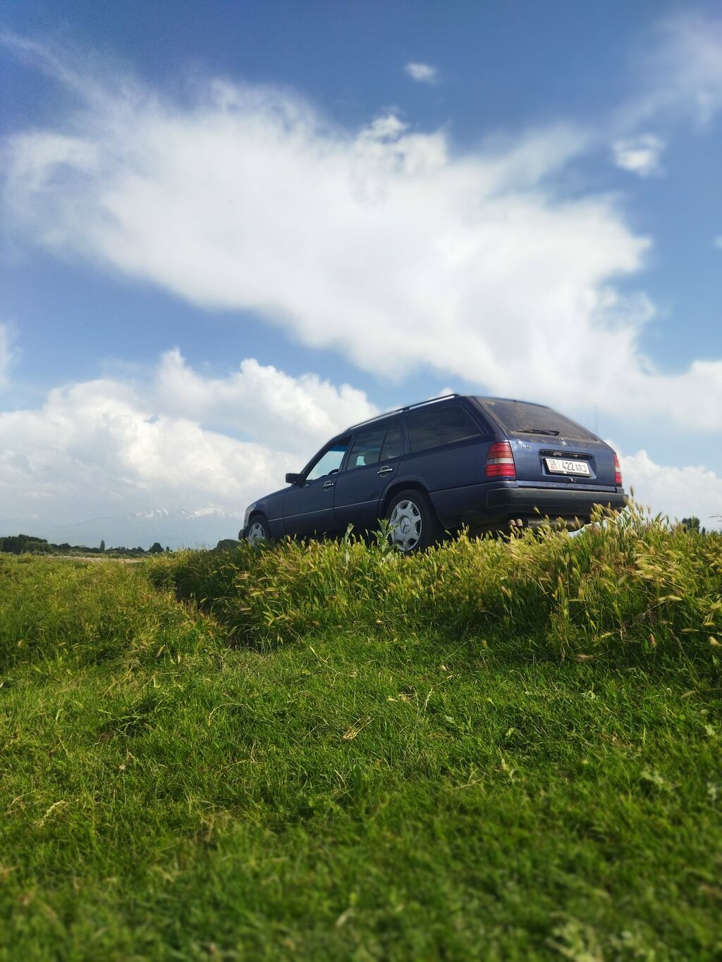 Mercedes-Benz W124: 1995 г., 2.8 л, Механика, Бензин, Универсал: фото 5