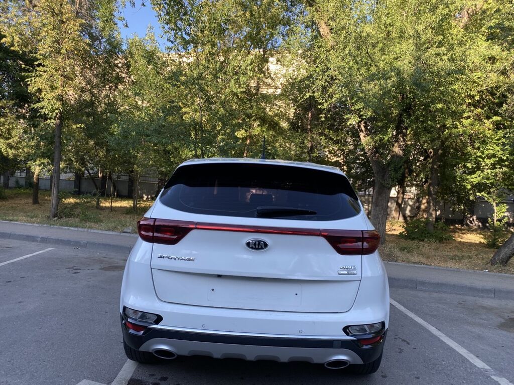 Kia Sportage: 2019 г., 2 л, Автомат, Дизель, Кроссовер — фото 8