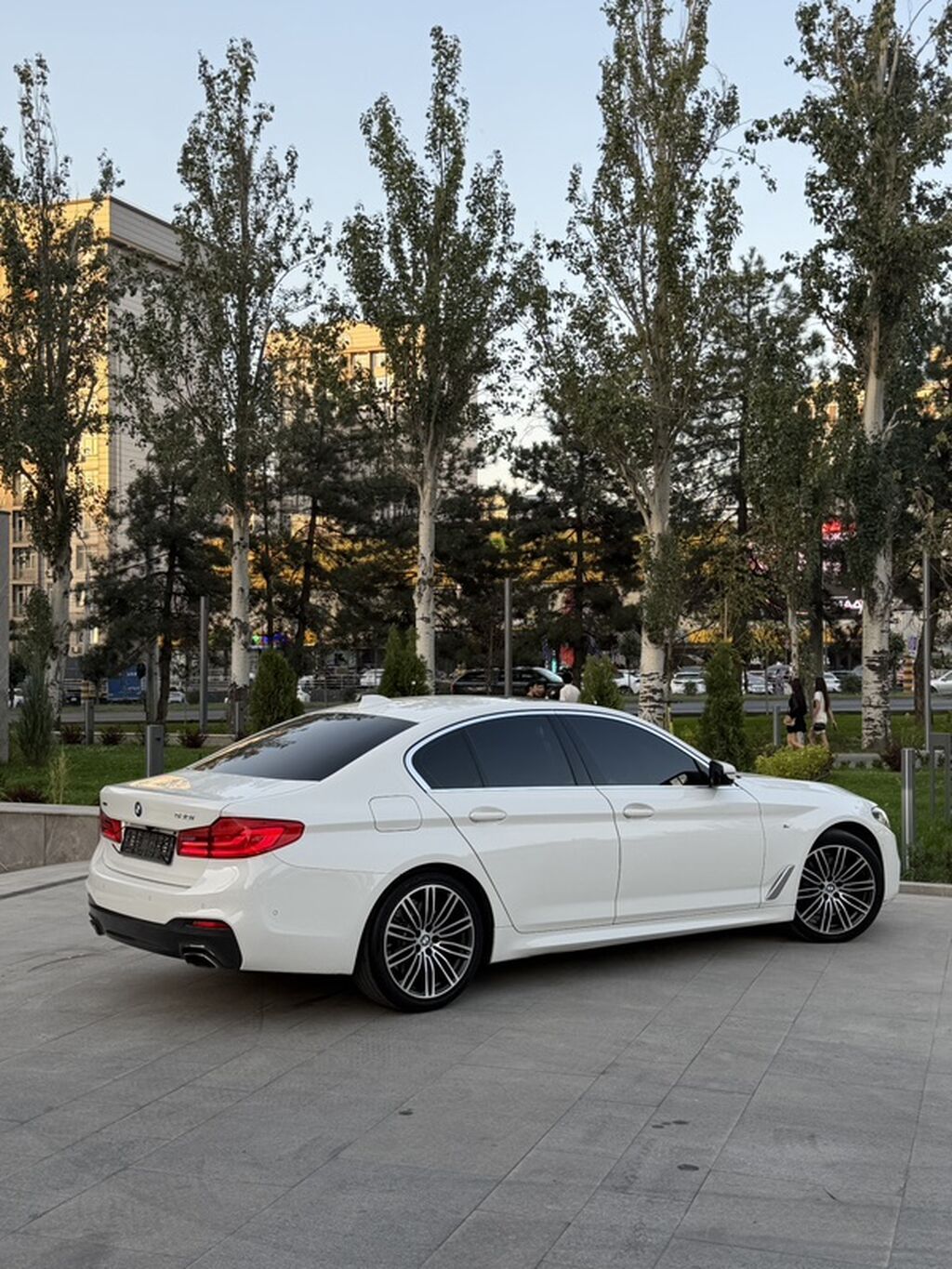 BMW 530: 2019 г., 2 л, Автомат, Бензин, Седан: фото 5