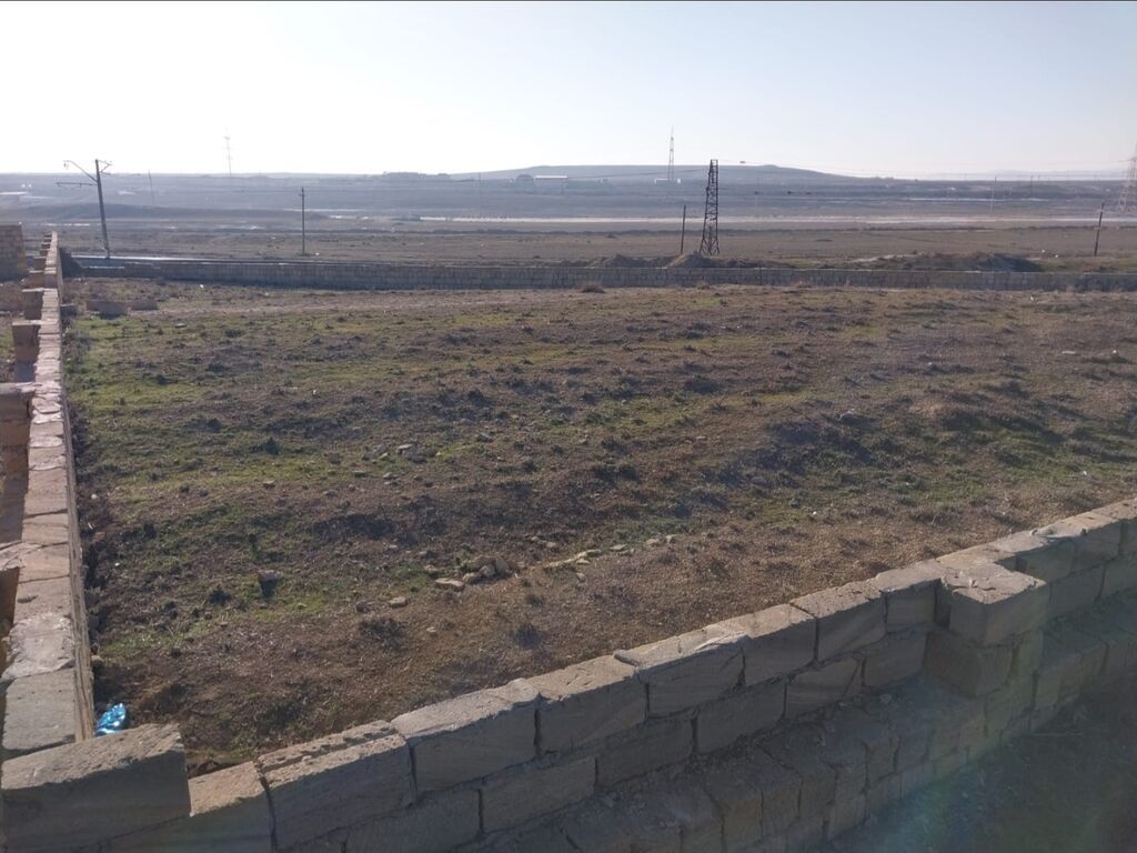 7 sot, Tikinti, Kupça (Çıxarış)