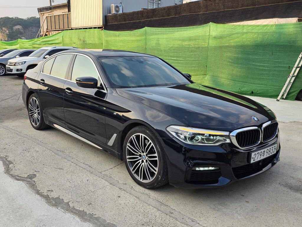 BMW 530: 2020 г., 2 л, Автомат, Бензин, Седан: фото 2